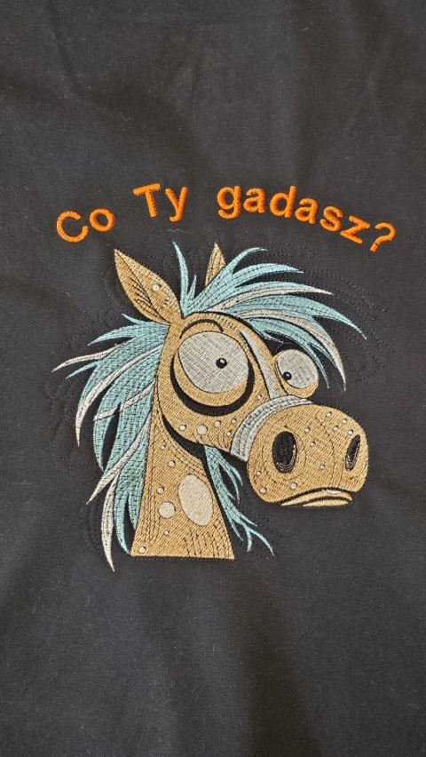 Bluza z kapturem i haftem na plecach – CO TY GADASZ ? /różne kolory/